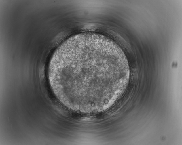 X0000102280504200808221307