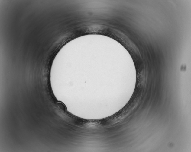 X0000102280505200808221307