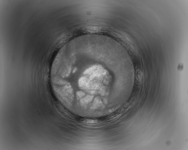 X0000102280507200808221307