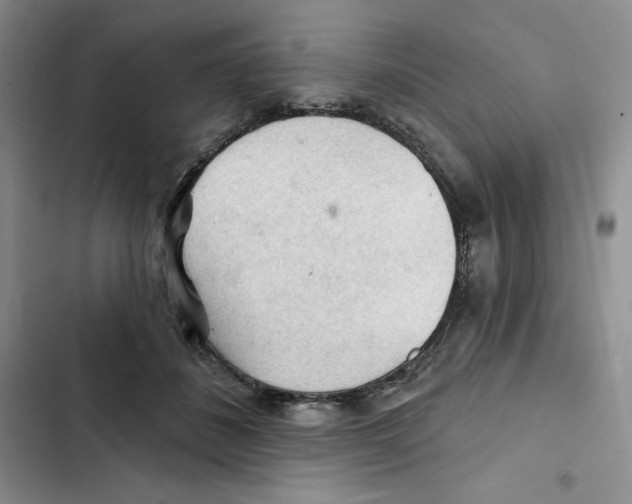 X0000102280508200808221307