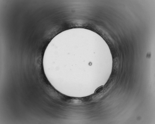X0000102280509200808221307