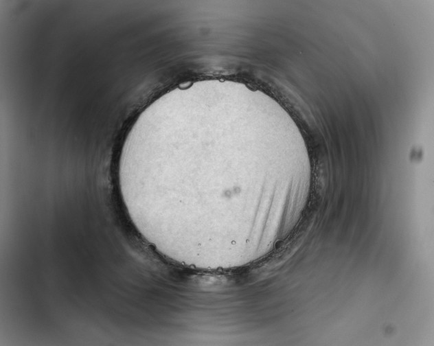 X0000102280512200808221307