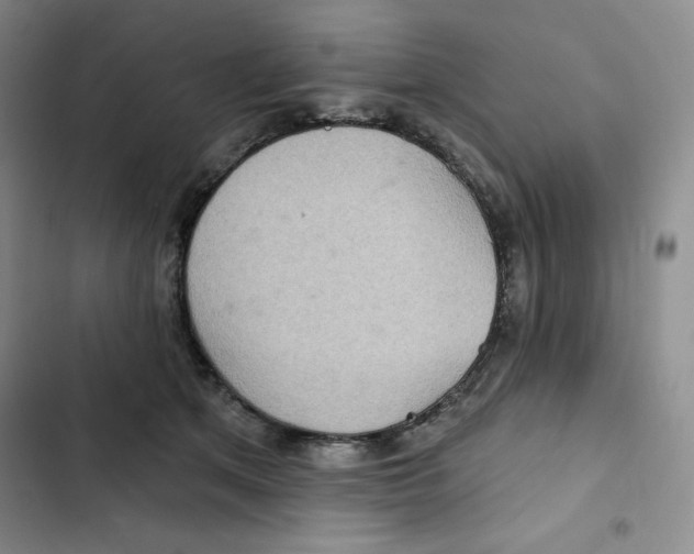 X0000102280513200808221307