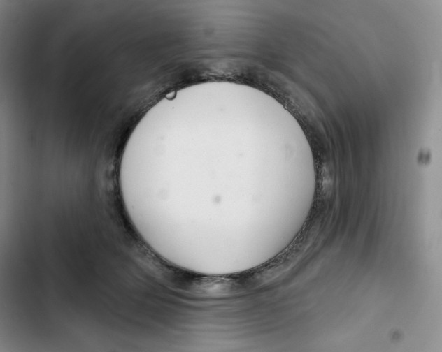 X0000102280514200808221307