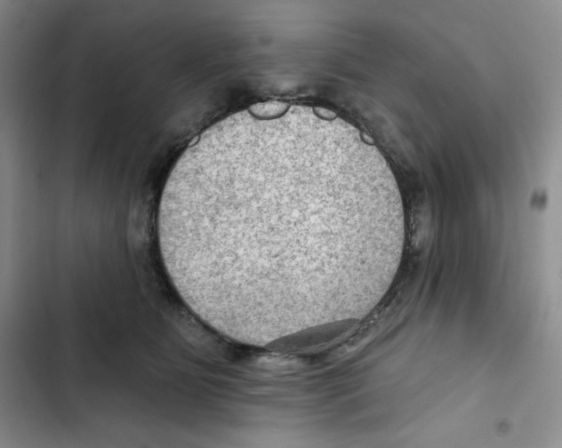X0000102280515200808221307