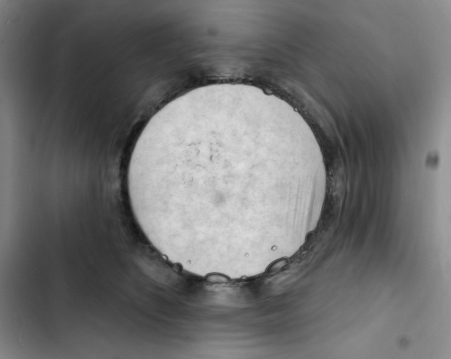 X0000102280516200808221307