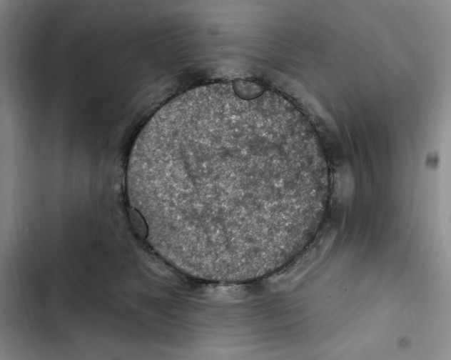 X0000102280517200808221307