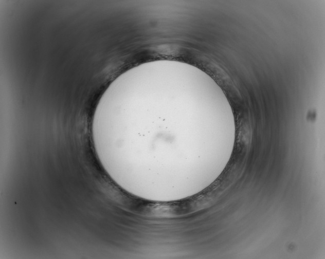 X0000102280518200808221307