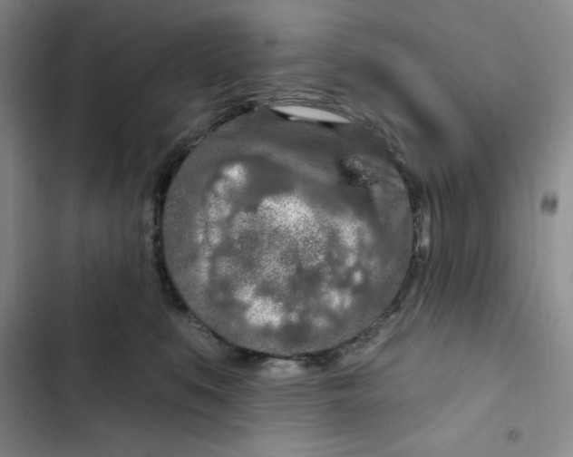X0000102280519200808221307