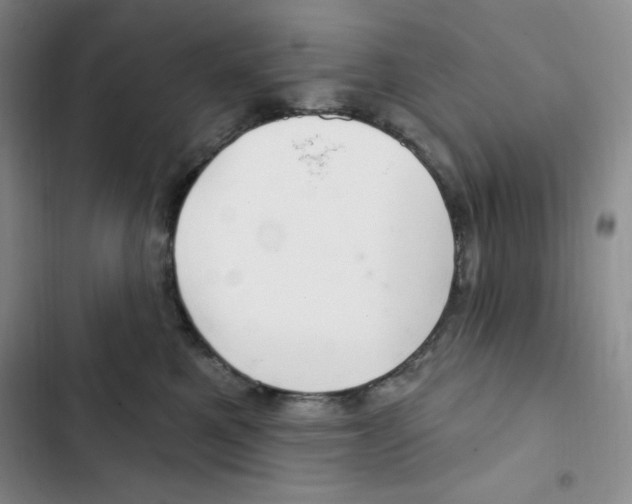 X0000102280521200808221307