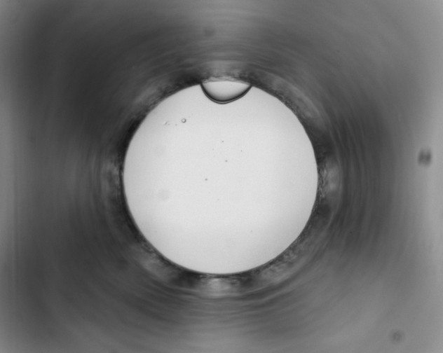 X0000102280522200808221307