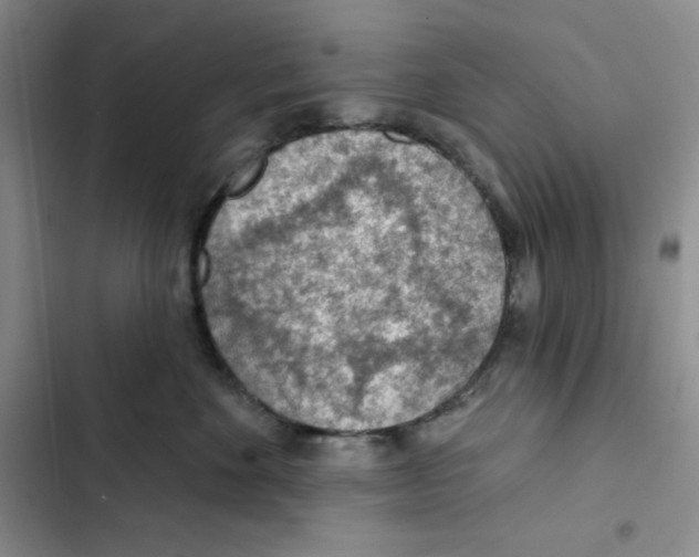 X0000102280524200808221307