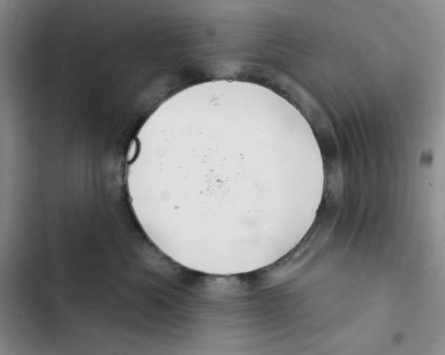 X0000102280525200808221307