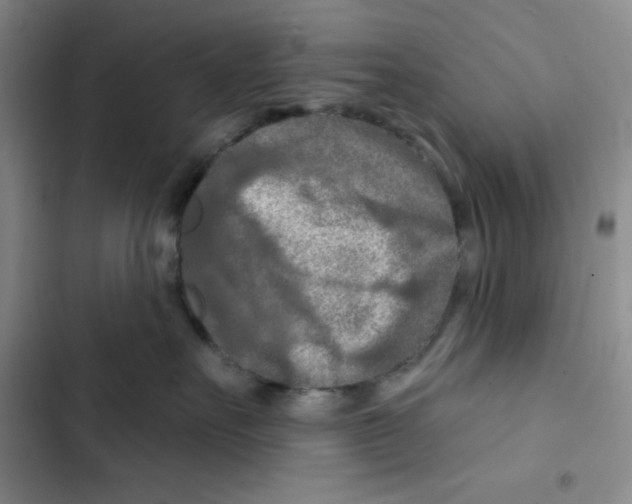 X0000102280527200808221307