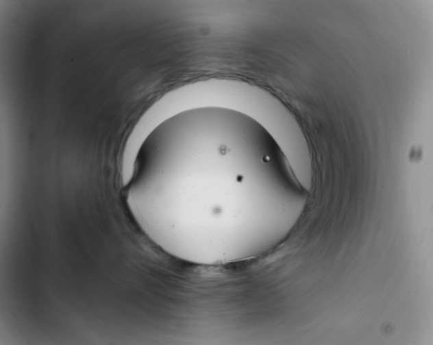 X0000102280528200808221307