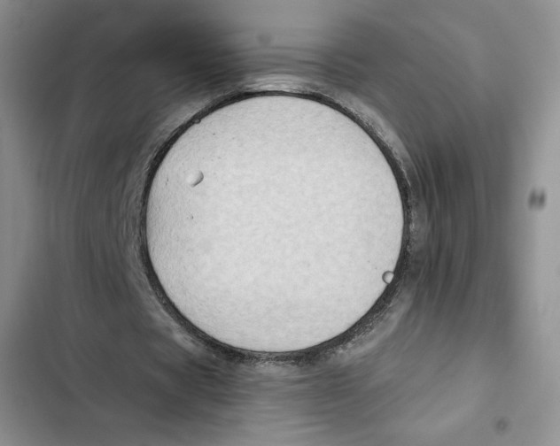 X0000102280529200808221306