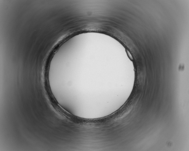X0000102280530200808221306