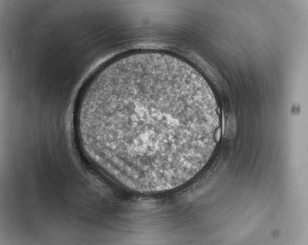 X0000102280531200808221306