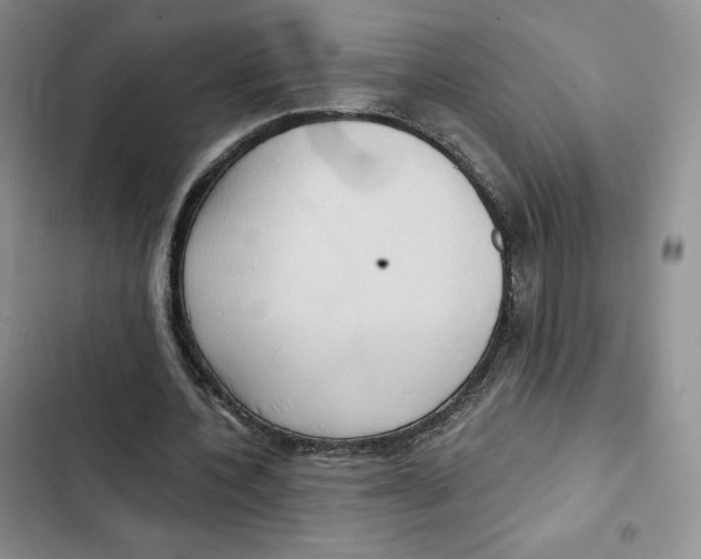 X0000102280532200808221306
