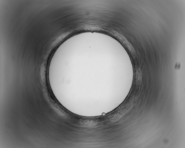 X0000102280533200808221306
