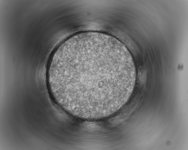 X0000102280534200808221306