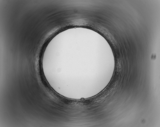 X0000102280535200808221306
