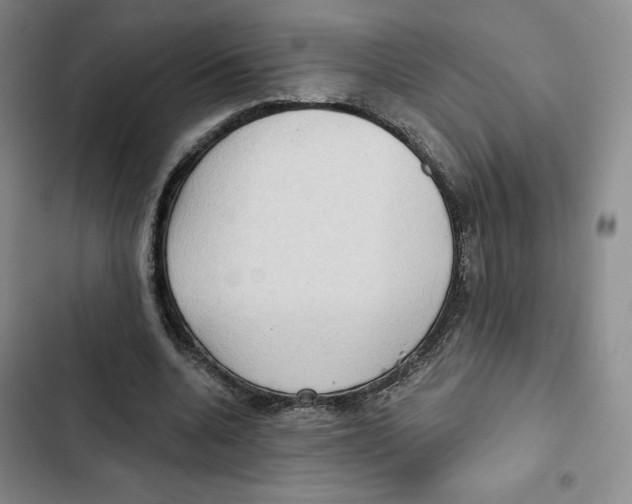 X0000102280536200808221306