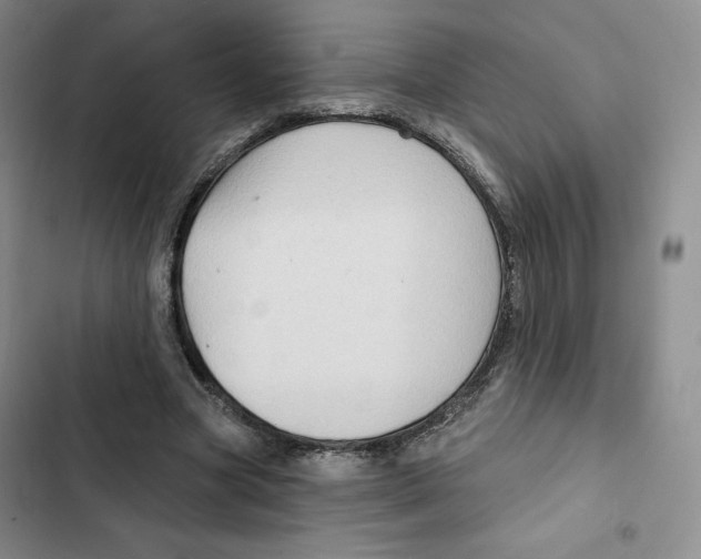 X0000102280537200808221306
