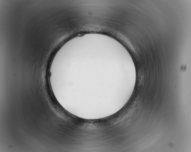 X0000102280538200808221306