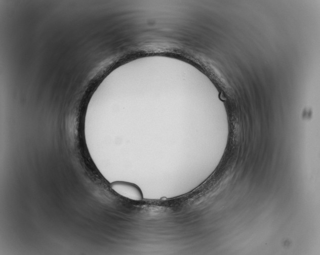 X0000102280539200808221306