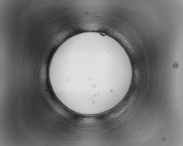 X0000102280541200808221306