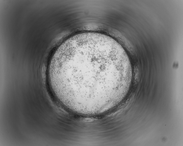 X0000102280542200808221306