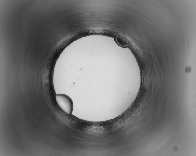 X0000102280543200808221306