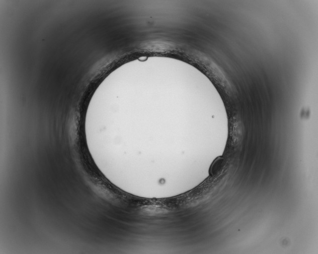 X0000102280544200808221306