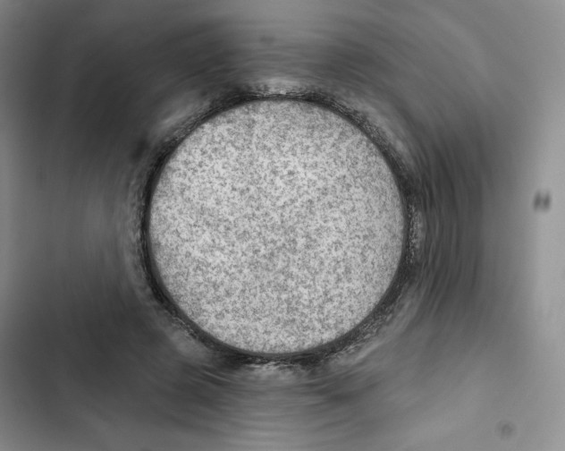 X0000102280545200808221306