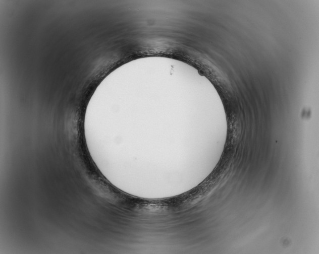 X0000102280546200808221306