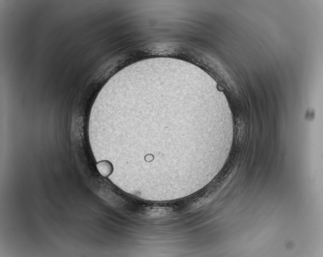 X0000102280549200808221306