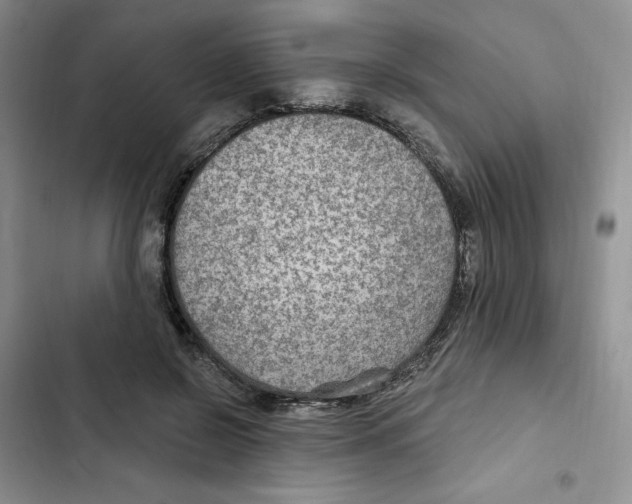 X0000102280550200808221306