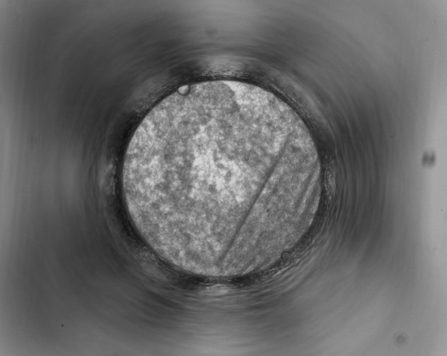 X0000102280551200808221306