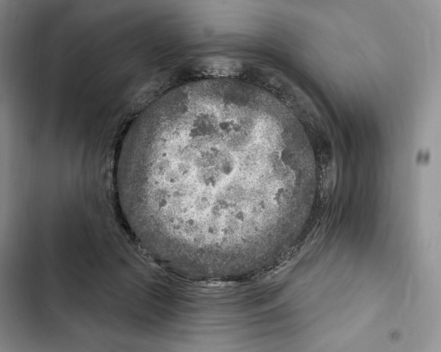 X0000102280553200808221306