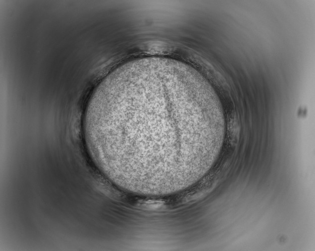 X0000102280554200808221306