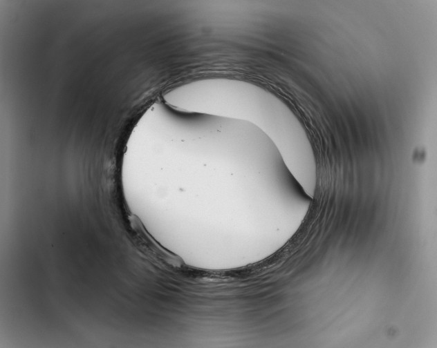 X0000102280556200808221307