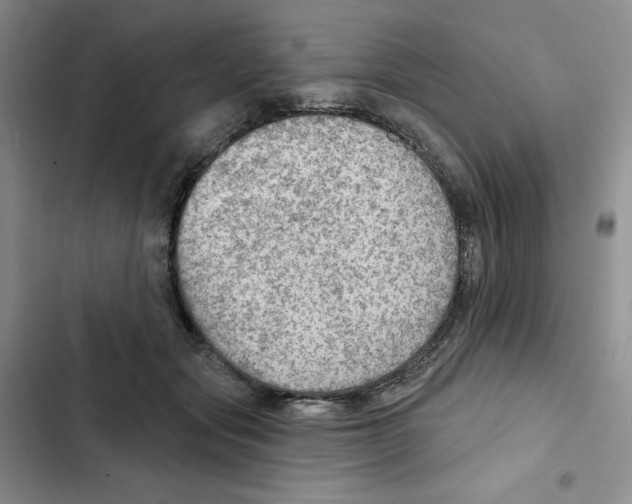 X0000102280557200808221307