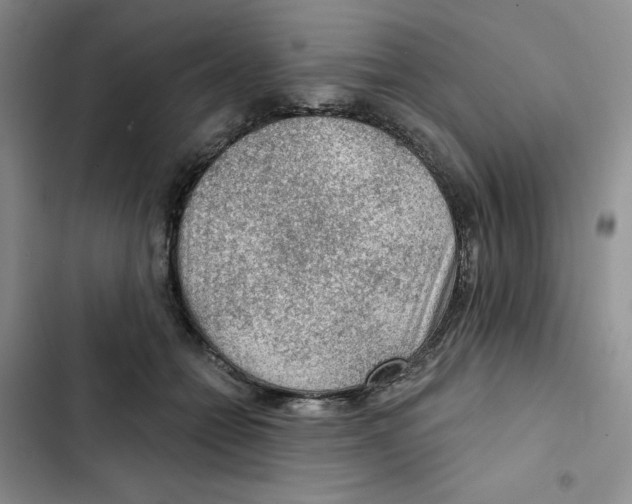 X0000102280558200808221307