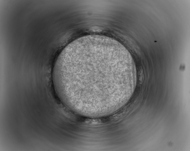 X0000102280559200808221307