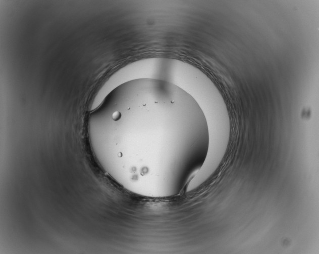 X0000102280560200808221307
