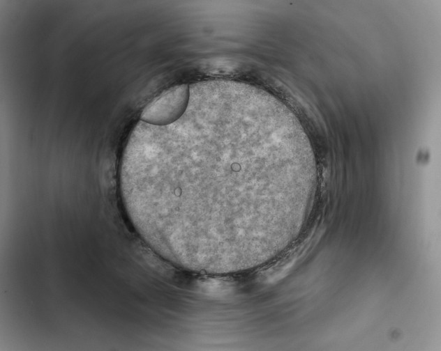 X0000102280561200808221307