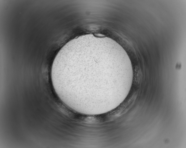 X0000102280562200808221307