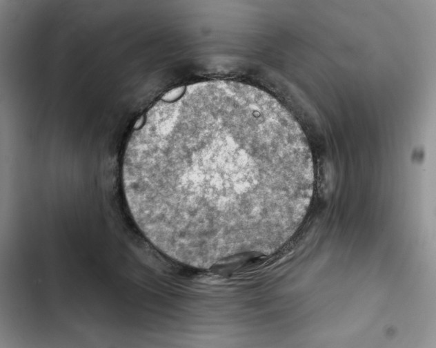 X0000102280563200808221307