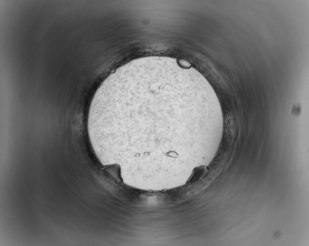 X0000102280564200808221307